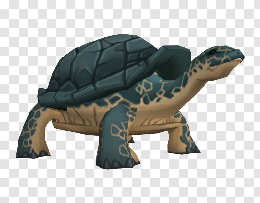 Tortoise Sea Turtle Pond Turtles Terrestrial Animal - Organism - Cartoon Model Transparent PNG