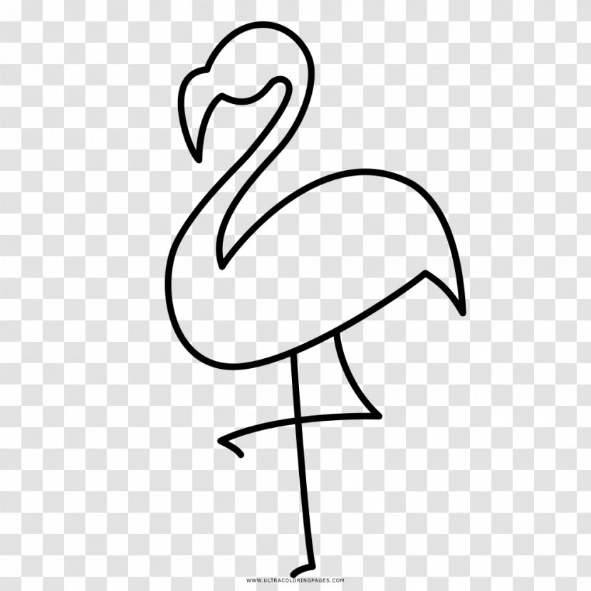 Beak Flamingos Drawing Coloring Book Ausmalbild - Bird Transparent PNG