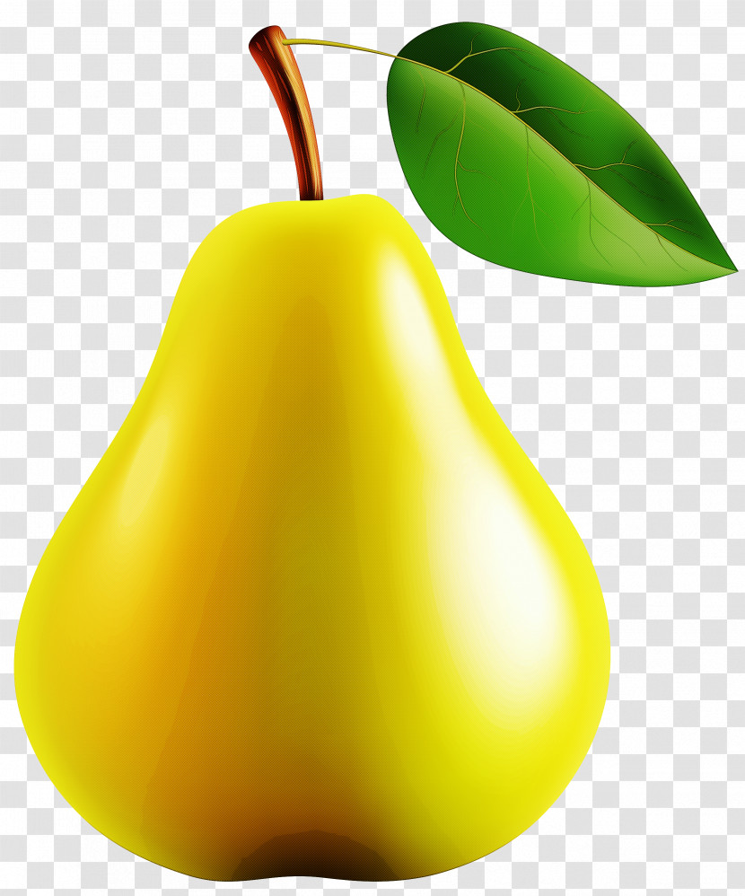 Pear Pear Tree Plant Fruit Transparent PNG