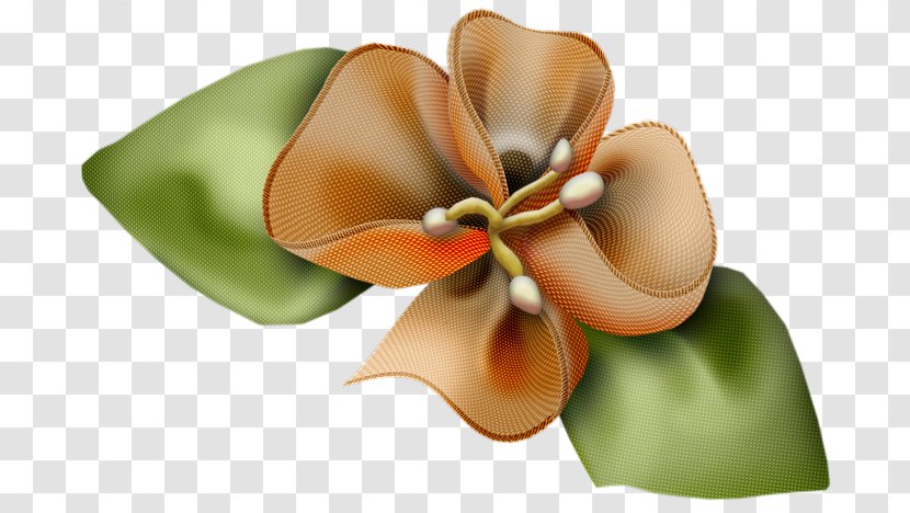 Cut Flowers Artificial Flower Bouquet Clip Art - Petal Transparent PNG