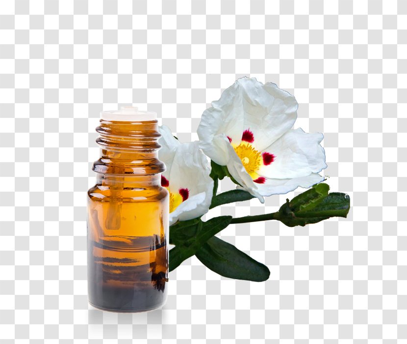 Lotion Essential Oil Neroli Perfume - Argan Transparent PNG