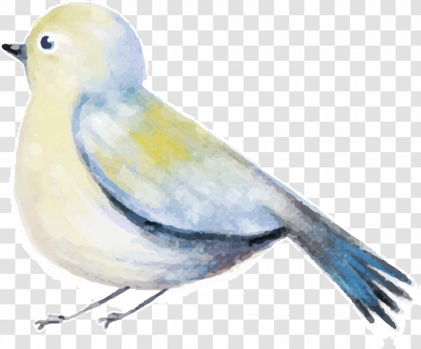 Bird Watercolor Painting Download Drawing - Decorative Vector Modified Transparent PNG