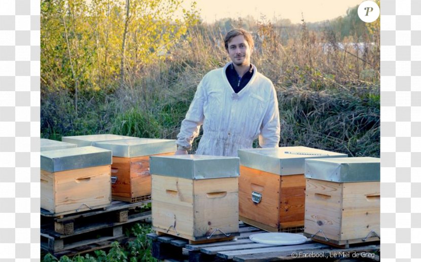 Koh-Lanta: Fidji TF1 Honey Apiary Beekeeper - Evoque Transparent PNG