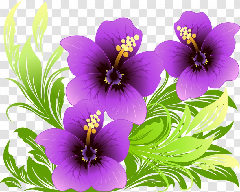 Flower Purple - Pansy - Painted Floral Background Transparent PNG