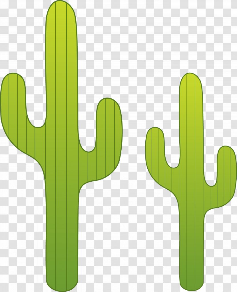 Saguaro Cactaceae Desert Clip Art - Schlumbergera - Cactus Transparent PNG