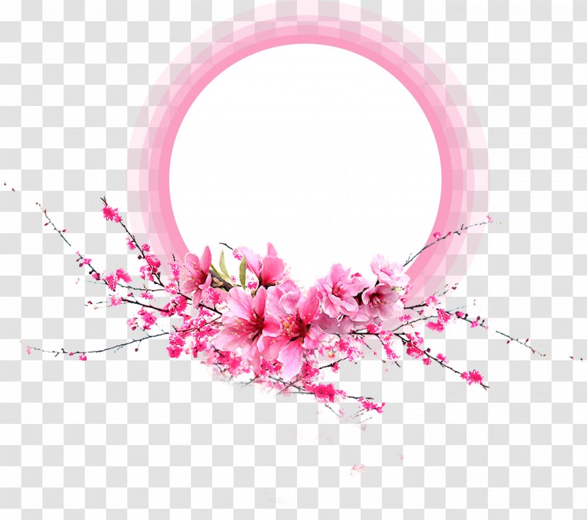 Pink Petal Flower - Blossom - Flowers Border Transparent PNG