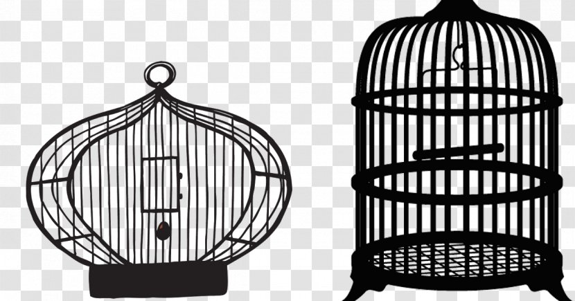 Birdcage Domestic Canary Clip Art - Home Accessories - Cage Transparent PNG