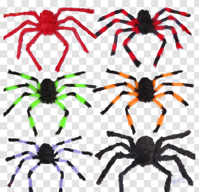 Spider Web Stuffed Toy Halloween - Invertebrate - Simulation Transparent PNG