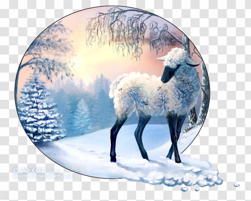 Reindeer Wildlife - Deer Transparent PNG