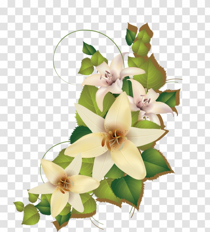 Lily Cluster - Flower Bouquet - Floristry Transparent PNG