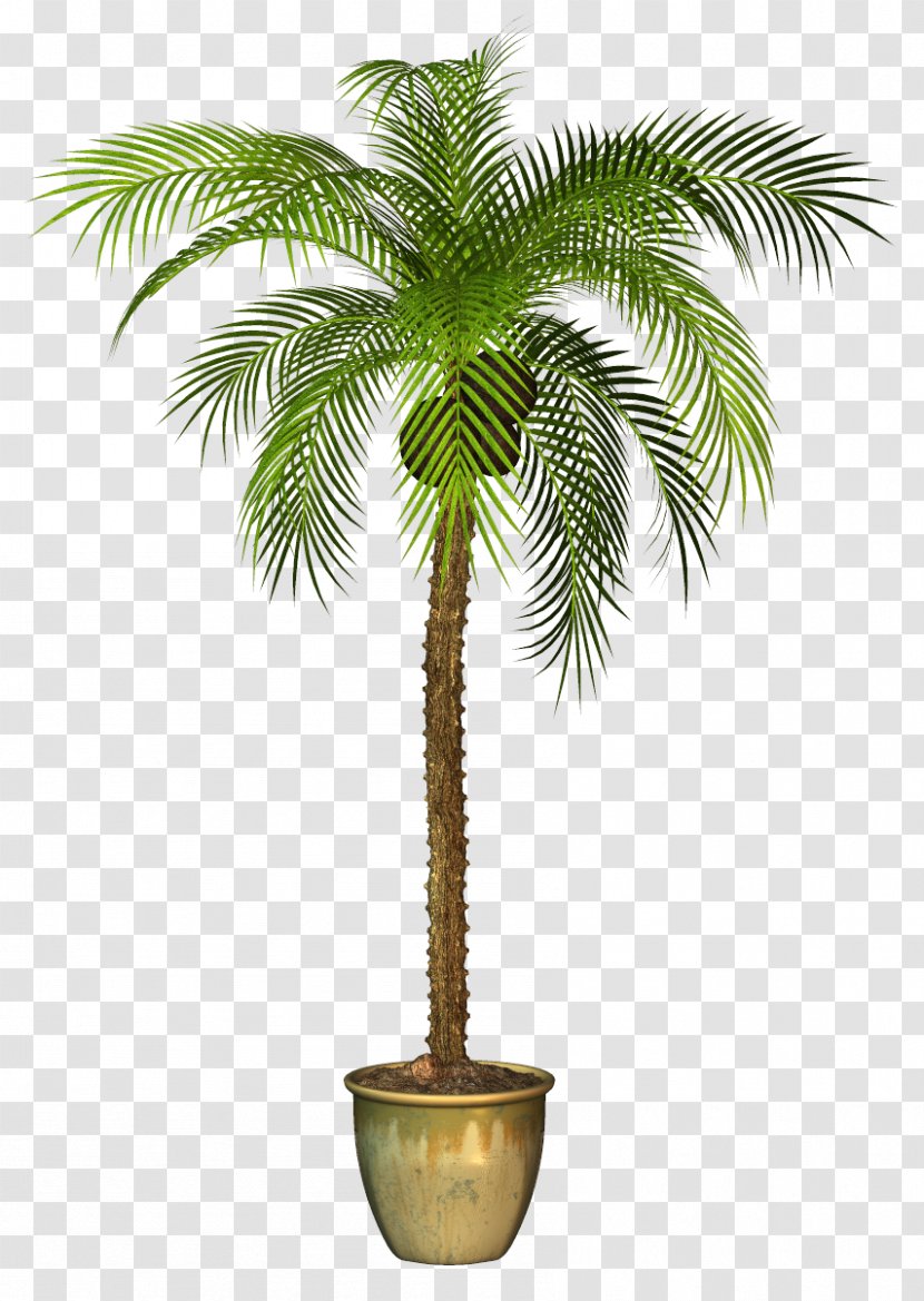 Areca Palm Tree Clip Art Image - Plants Transparent PNG