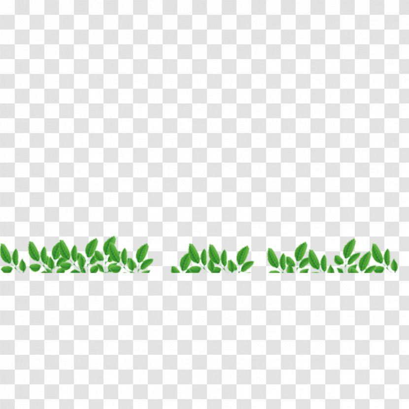Download Icon - Jpeg Network Graphics - Grass Transparent PNG