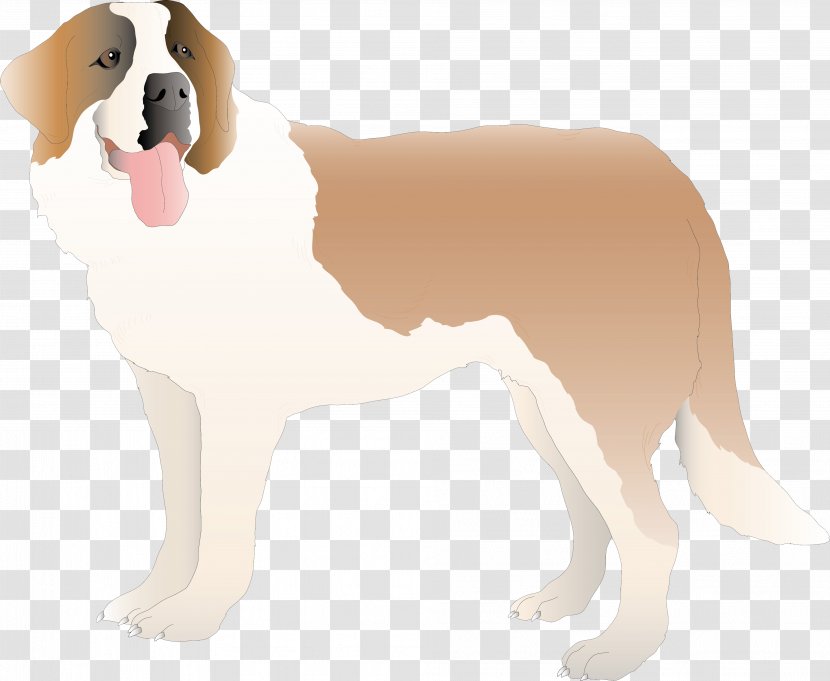 Breed Group (dog) Puppy Non-sporting - Dog Transparent PNG