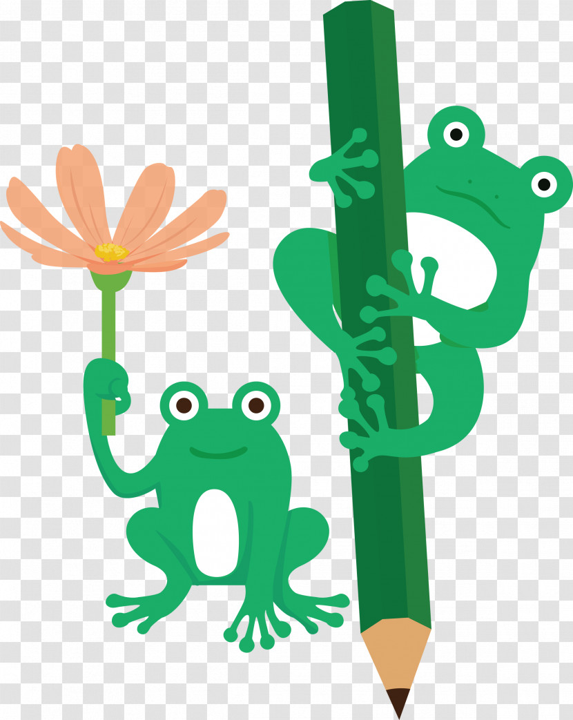 Tree Frog Cartoon Frogs Toad Green Transparent PNG