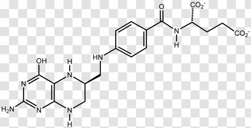Levofloxacin Ciprofloxacin Pharmaceutical Drug Enzyme - Tree - Hydrochloride Transparent PNG
