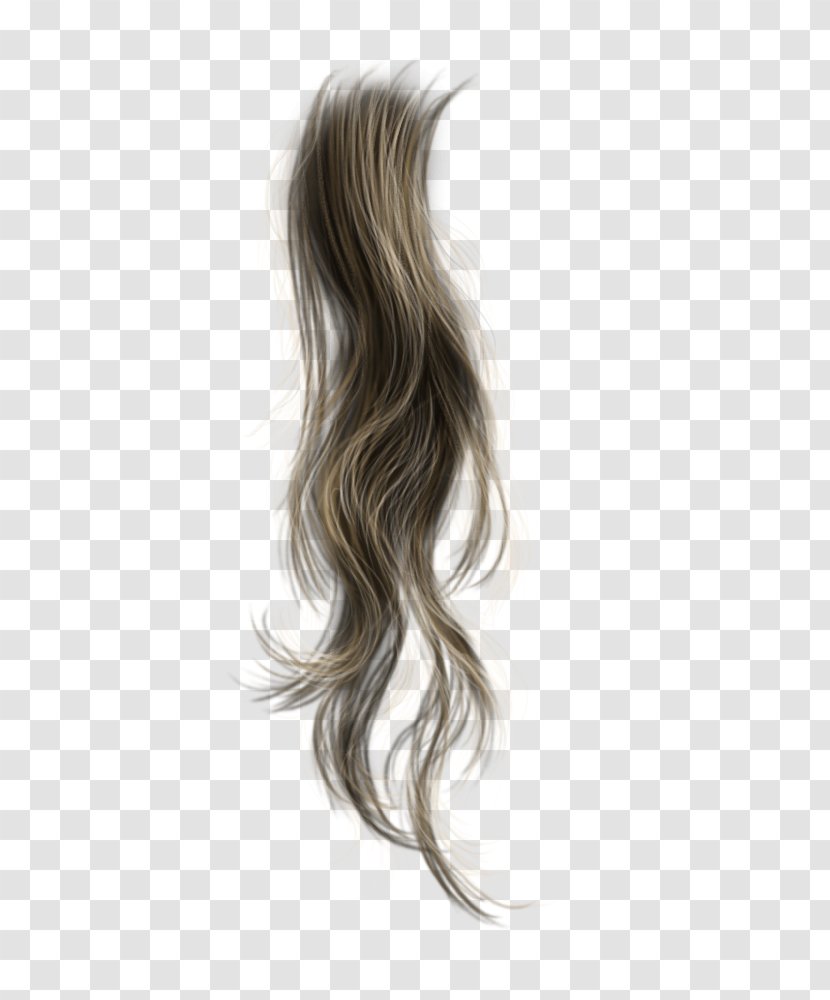 Brown Hair Wig Long - Blond - Pegasus Transparent PNG
