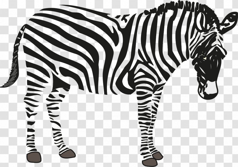Zebra Clip Art - Animal Figure Transparent PNG