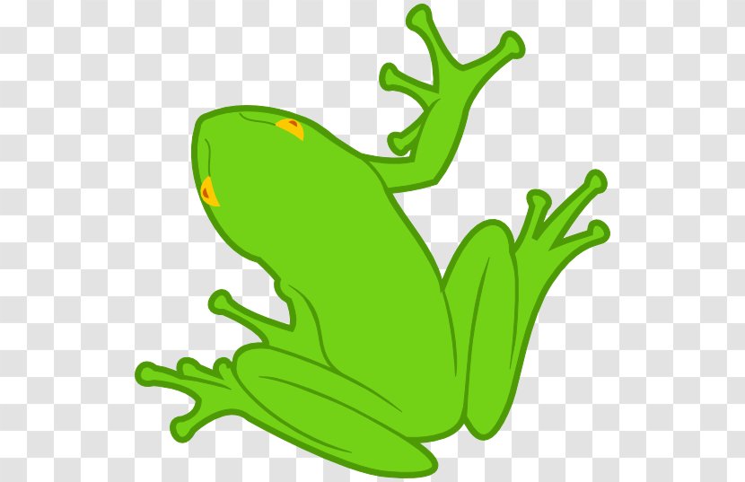Frog Amphibian Clip Art - Clipart Transparent PNG
