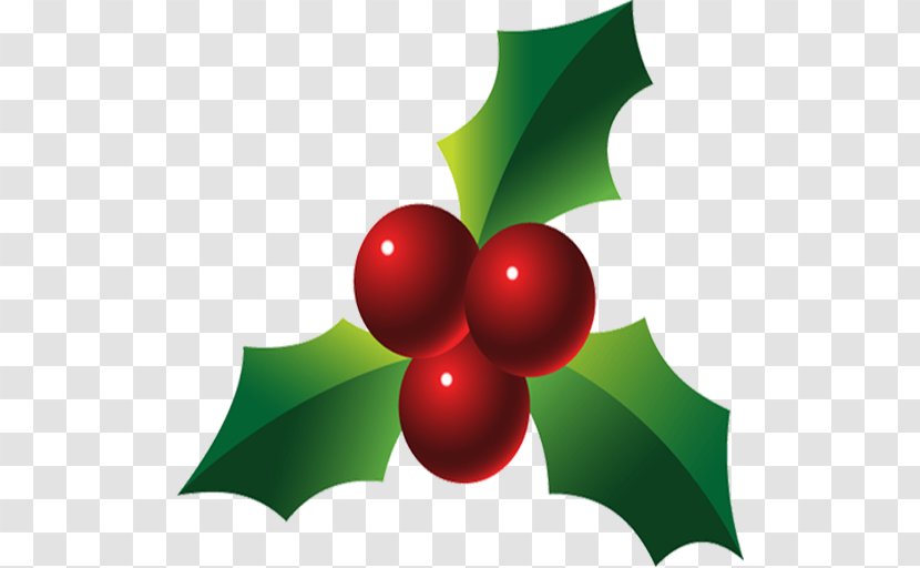 Holly Clip Art - Christmas Transparent PNG