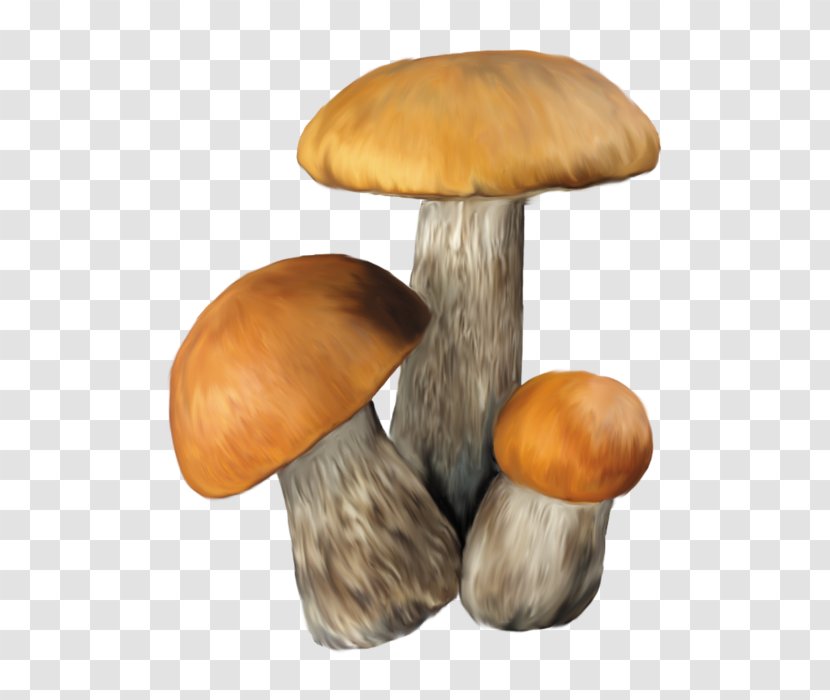 Aspen Mushroom Edible Clip Art - Boletus Edulis Transparent PNG
