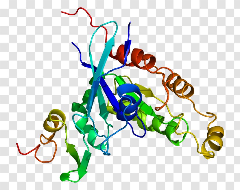 P53 Targeted Therapy Neoplasm Pharmaceutical Drug Anticancéreux - Organism - Human Behavior Transparent PNG