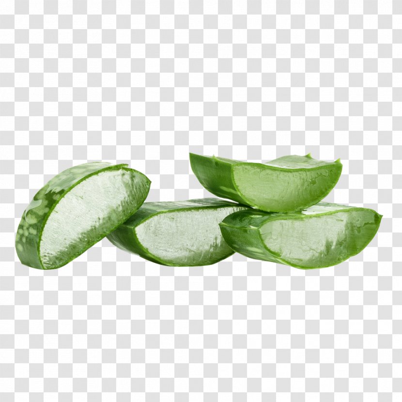 Aloe Vera Gel Taobao Plant Green - Leaf - Fresh And Healthy Transparent PNG