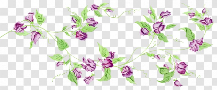 Flower Clip Art Floral Design Rose - Petal - Plant Transparent PNG