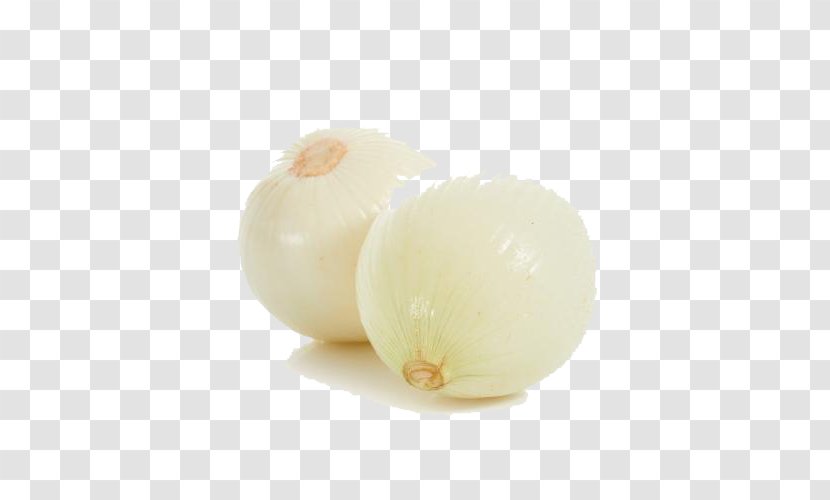Organic Food Shallot White Onion Transparent PNG