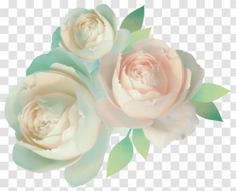 Garden Roses Color Cut Flowers - Wedding Ceremony Supply - Mint Transparent PNG