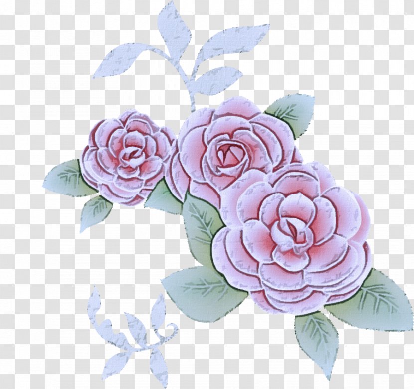 Garden Roses - Flower - Japanese Camellia Flowering Plant Transparent PNG