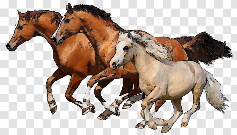 Let's Learn About Horses Foal Stallion Clip Art - Horse Harness - Family Cliparts Transparent PNG