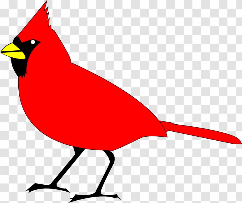 Bird Northern Cardinal Clip Art - Songbird - Turkey Transparent PNG
