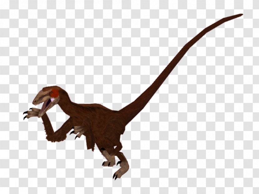 Velociraptor Terrestrial Animal Tyrannosaurus - Figure - Dwarf Runner Transparent PNG