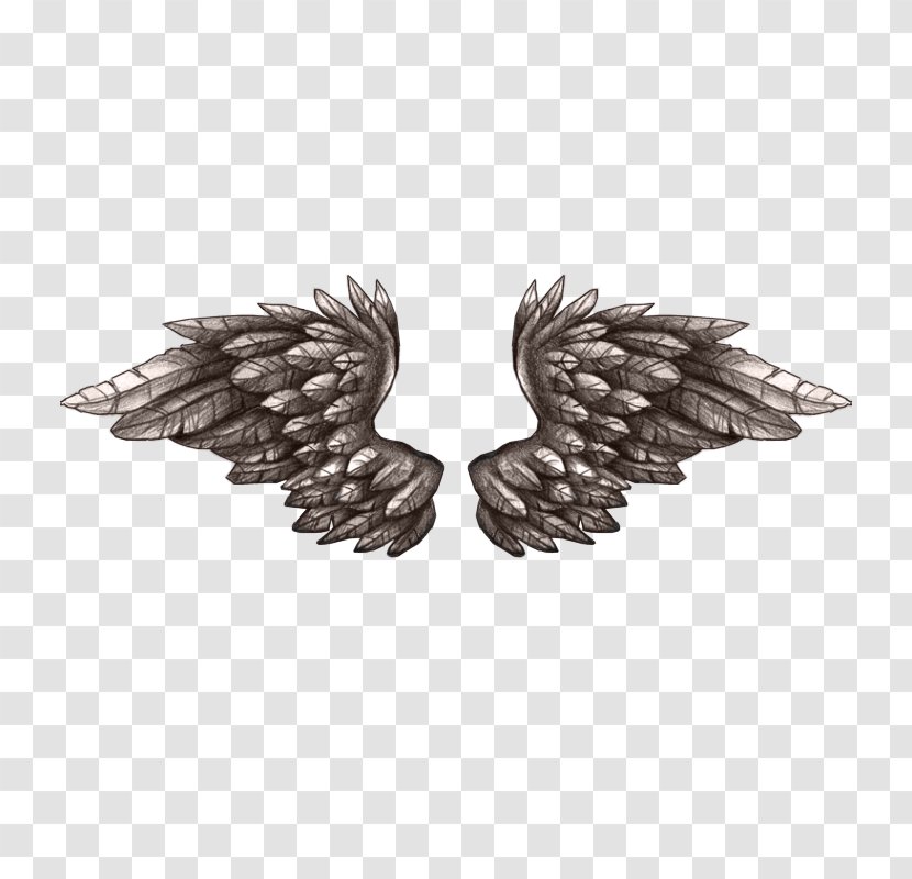 Animation - Related Feather Wings Transparent PNG