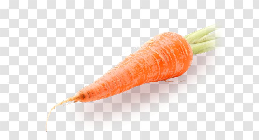 Baby Carrot Vegetable Daikon Greater Burdock - Photography Transparent PNG