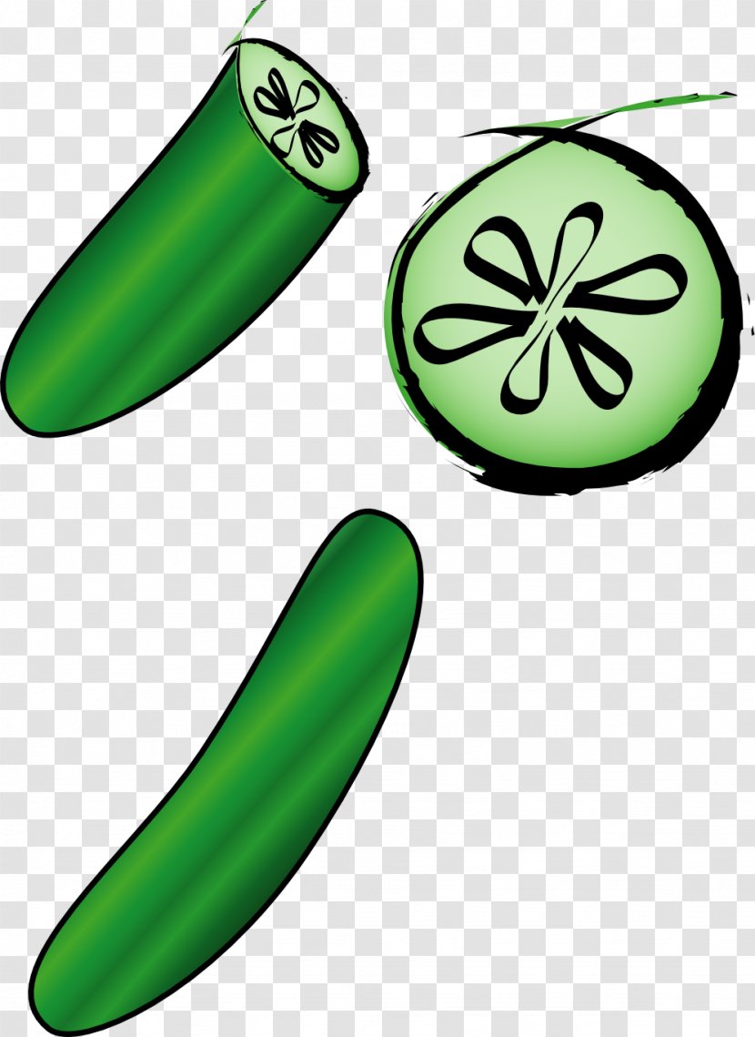 Pickled Cucumber Zucchini Clip Art - Hand-painted Transparent PNG