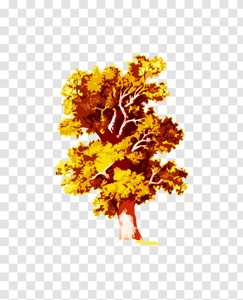 Family Tree Oak Deciduous - Branch - Autumn Transparent PNG