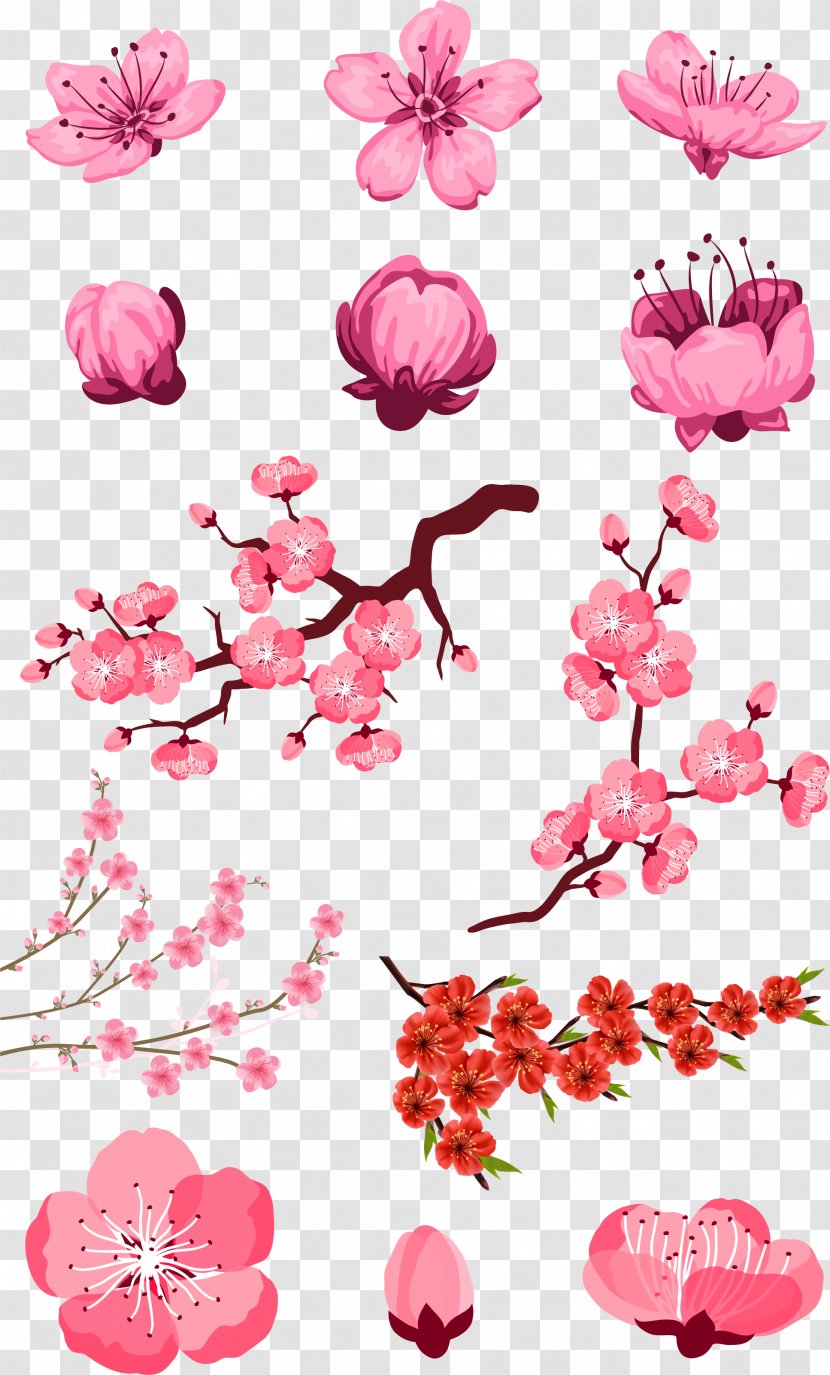 Adobe Illustrator Download - Clip Art - Pink Peach Vector Transparent PNG
