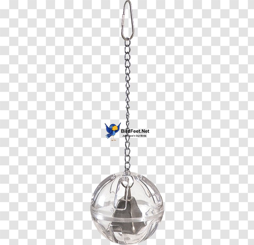 Grey Parrot Bird Toy Foraging - Tagged Transparent PNG