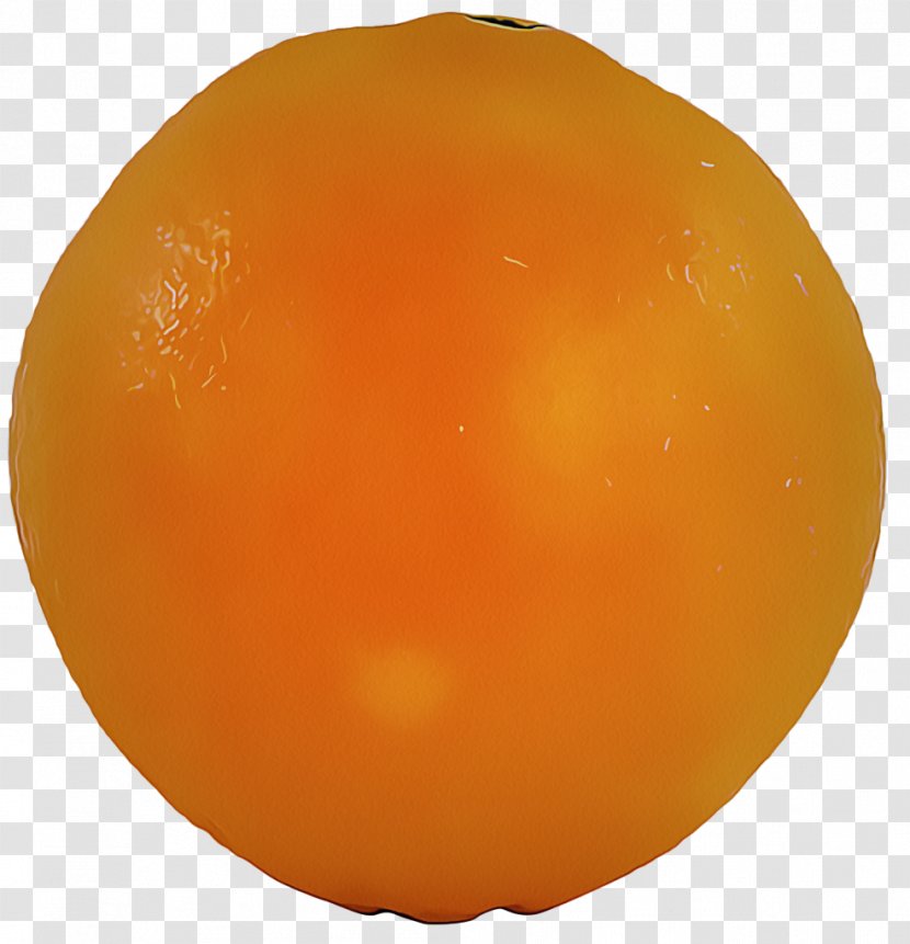 Orange - Plant - Citrus Food Transparent PNG