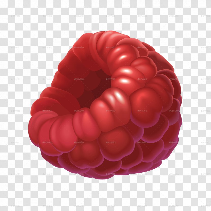 Raspberry Drawing - Fruit Transparent PNG