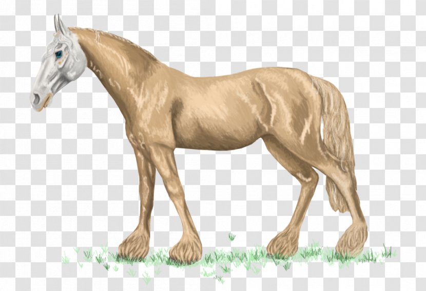 Mustang Foal Stallion Mare Colt - Rein Transparent PNG