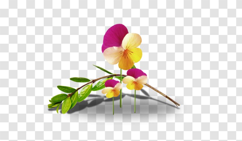 Cut Flowers Animaatio Floral Design - Plant - Flower Transparent PNG