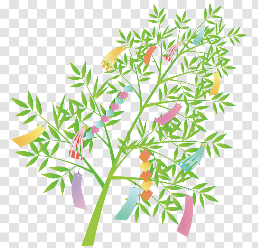 Plant Stem Flower Leaf Tree Herb Transparent PNG