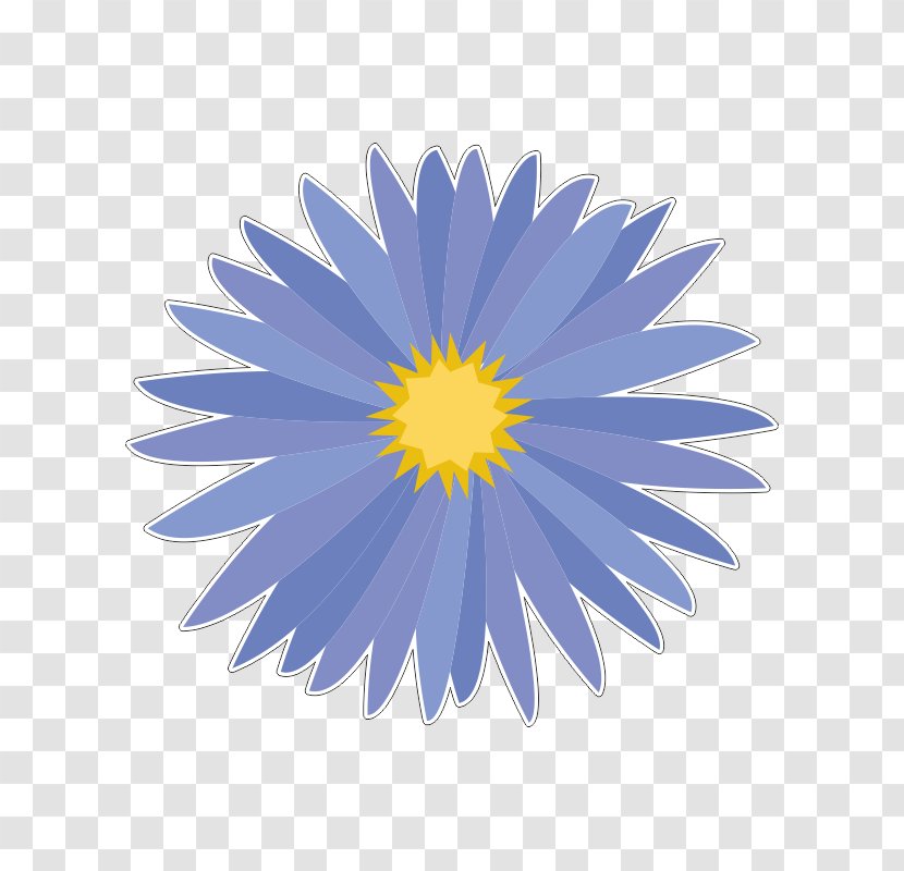 Illustrator Drawing - Daisy Family - Symmetry Transparent PNG