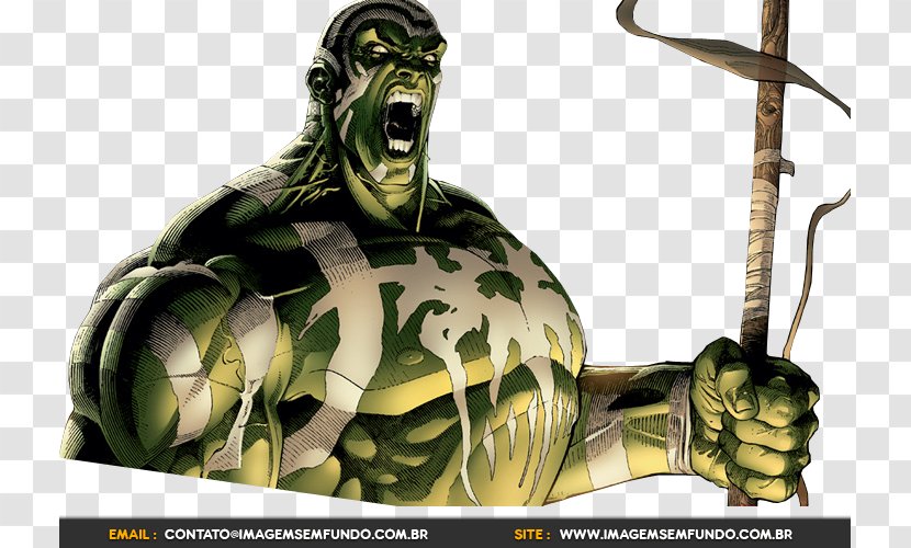 Hulk House Of M Marvel Comics - Tortoise - Imagem Transparent PNG