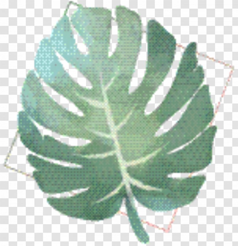Tree Background - Flower - Plant Transparent PNG
