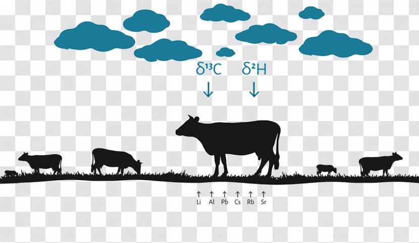 Cattle Sheep White Brand Clip Art Transparent PNG