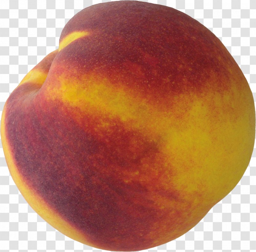 Peach Clip Art - Nectarine - Image Transparent PNG