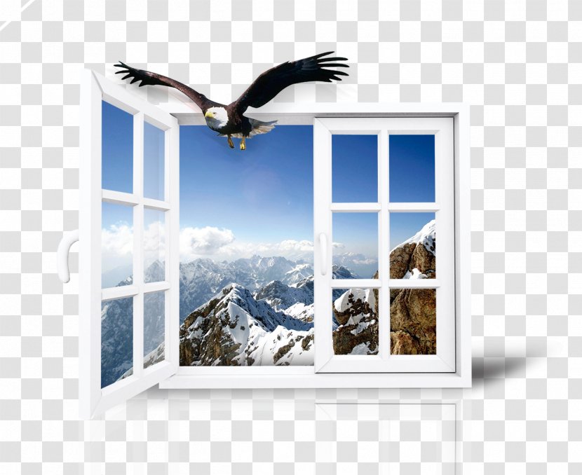 Window Advertising - Picture Frame - Eagles And Windows Transparent PNG